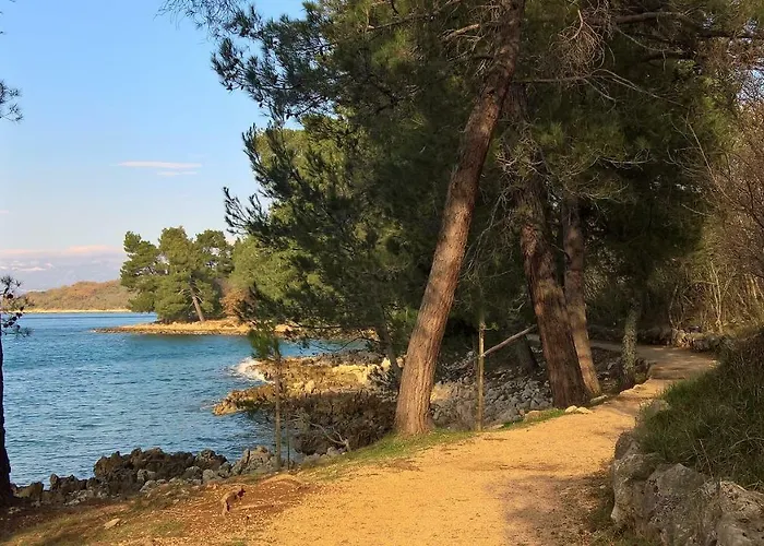 Poleti ゲストハウス 3*